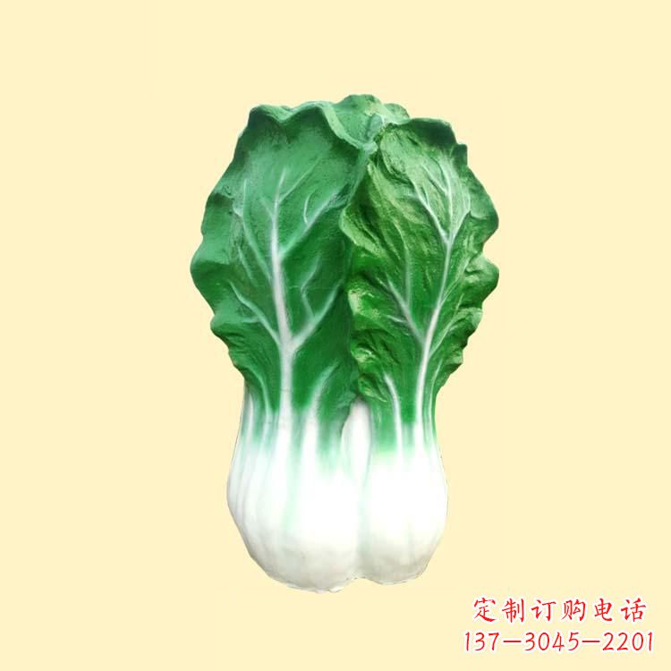 聊城白菜智能投影仪——让你的生活更加精彩