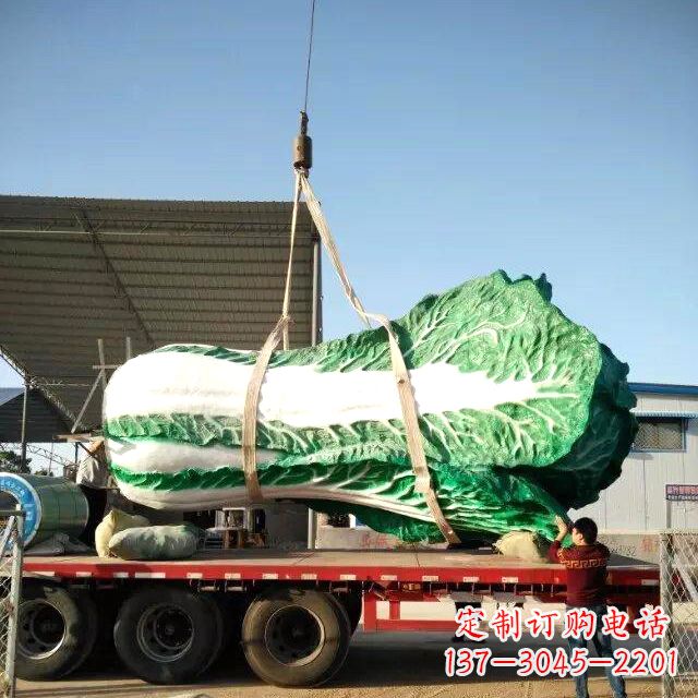 聊城白菜之美——给你一份独特的食材