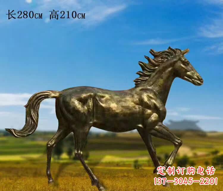 聊城新马之精髓