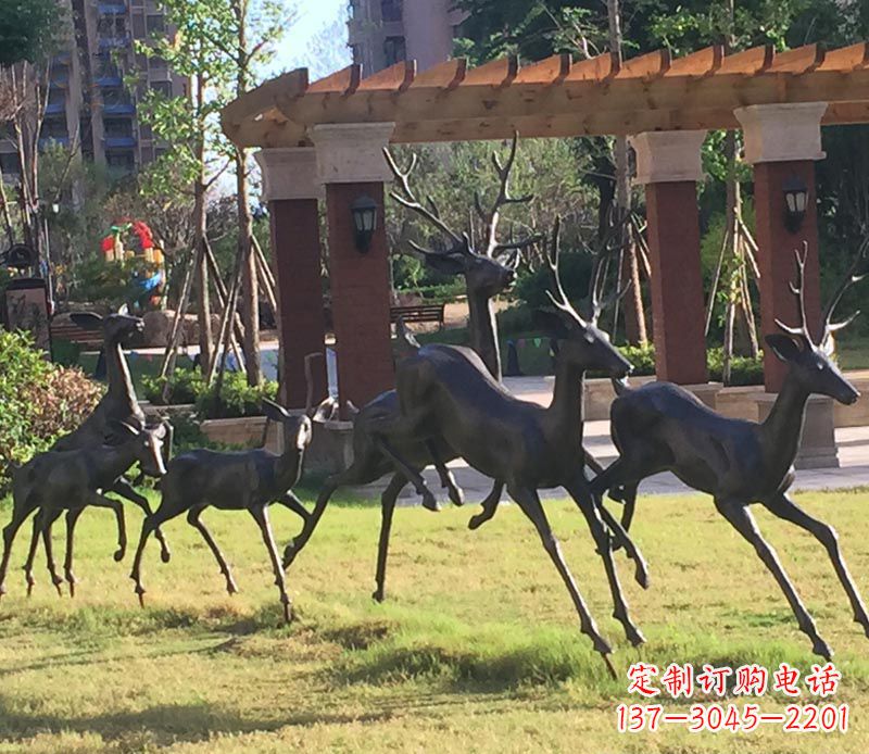 聊城“梅花鹿传递自由与美好”