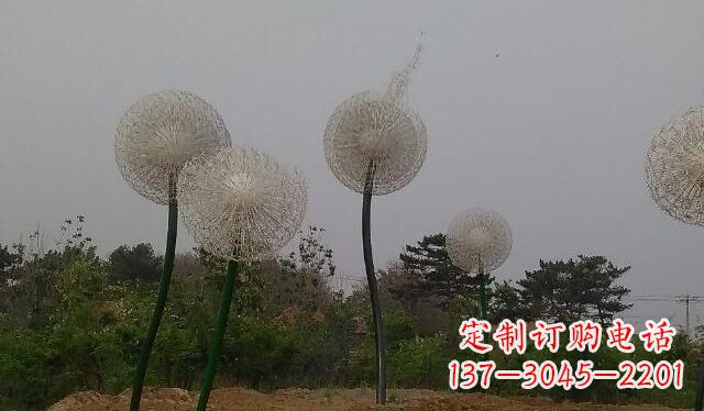聊城蒲公英的绚丽多彩