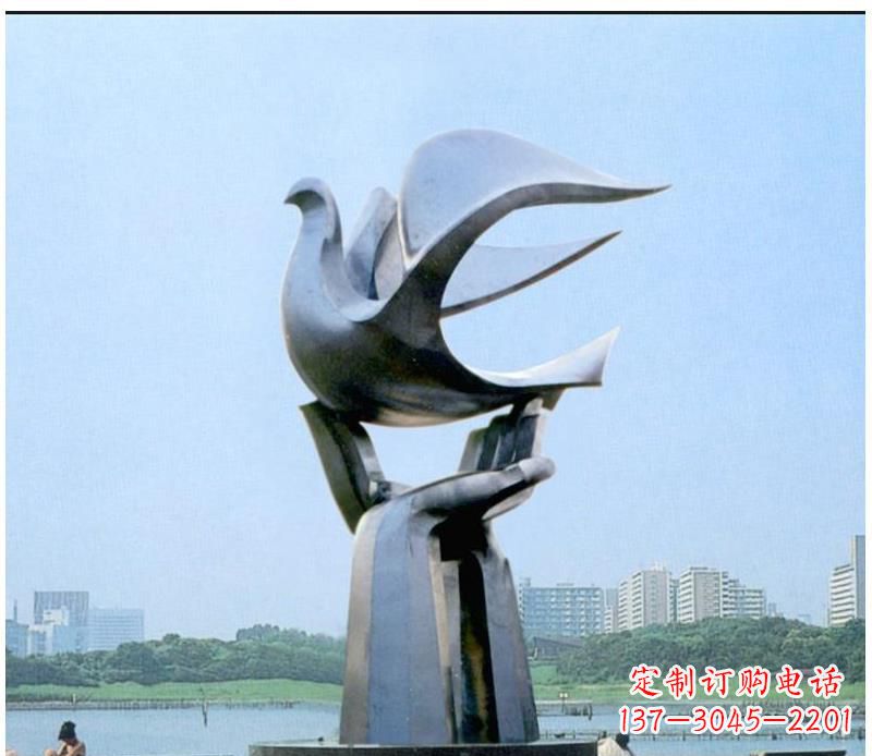 聊城静谧之鸽,传递和平象征~