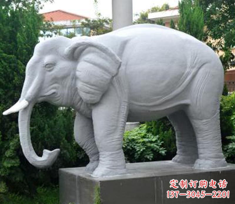 聊城公园动物大理石大象石雕 (5)