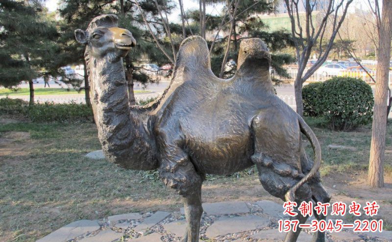 聊城铜骆驼雕塑——浓缩自然美丽