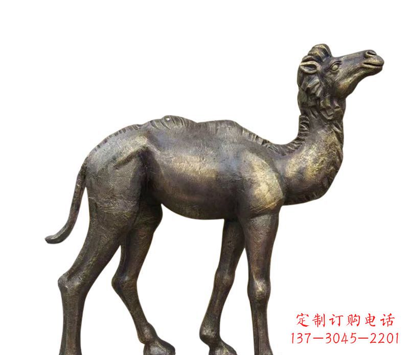 聊城公园小骆驼铜雕