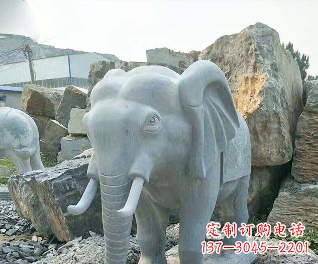 聊城广场景观大理石大象石雕 (2)