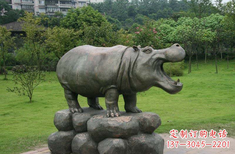 聊城海洋动物河马铜雕塑