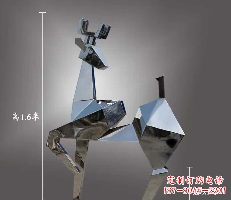 聊城让精致梅花鹿驻马店,尽享它的美丽瞬间