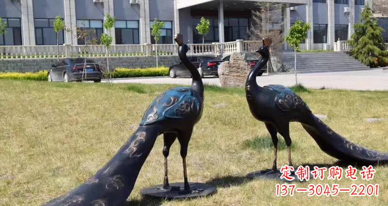 聊城领雕塑-孔雀铜雕,高雅精美的艺术精品