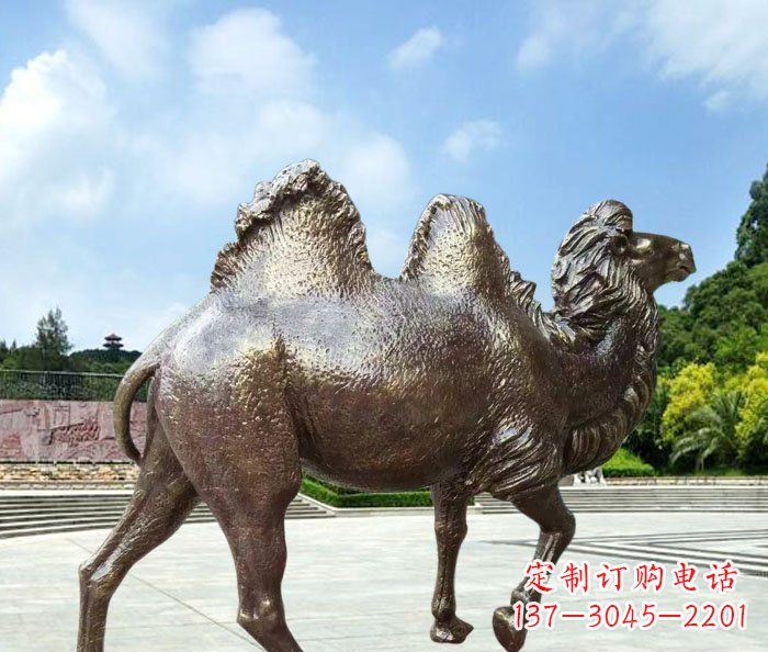 聊城骆驼动物铜雕 (2)