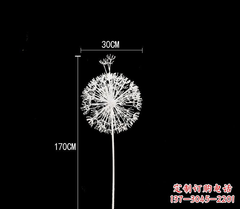 聊城美观耐用的不锈钢蒲公英雕塑