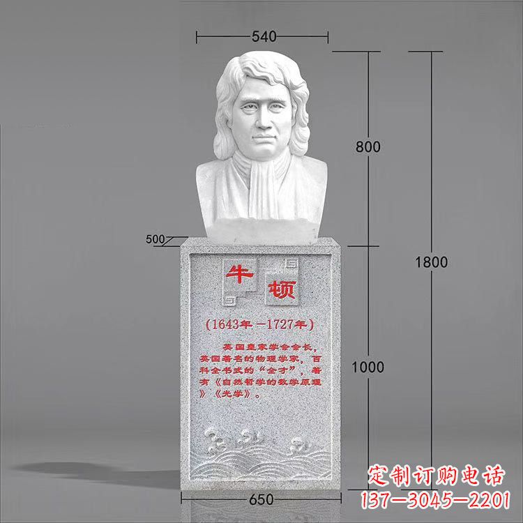 聊城艺术精灵:牛顿汉白玉石头像雕塑