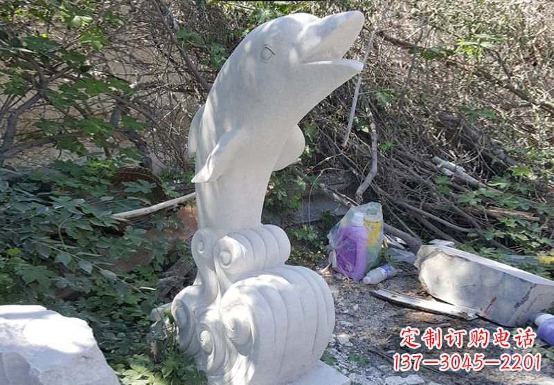 聊城海豚雕塑:悠闲无比的精灵