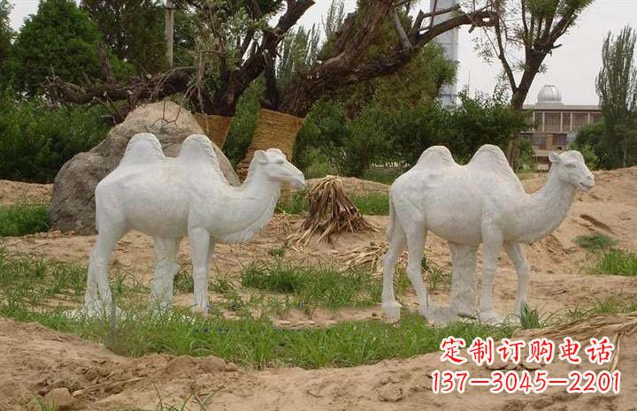 聊城欣赏大自然,石雕骆驼公园动物雕塑邀请您