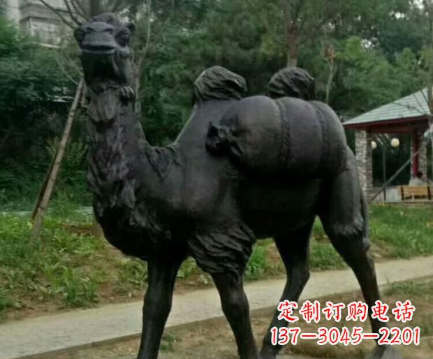 聊城驮行李的骆驼铜雕