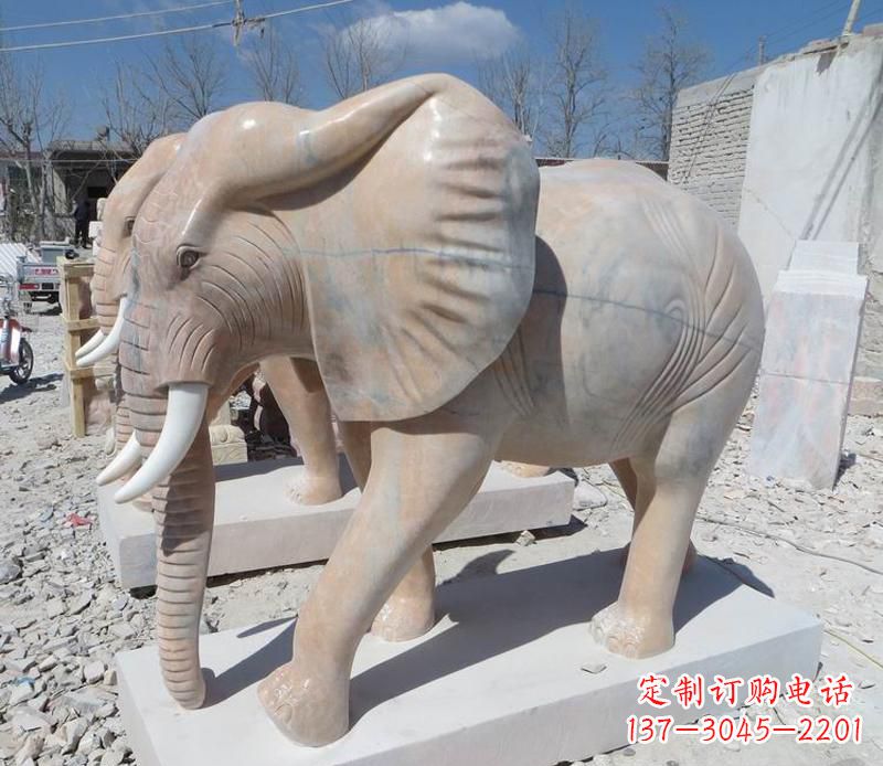 聊城晚霞红卷鼻大象