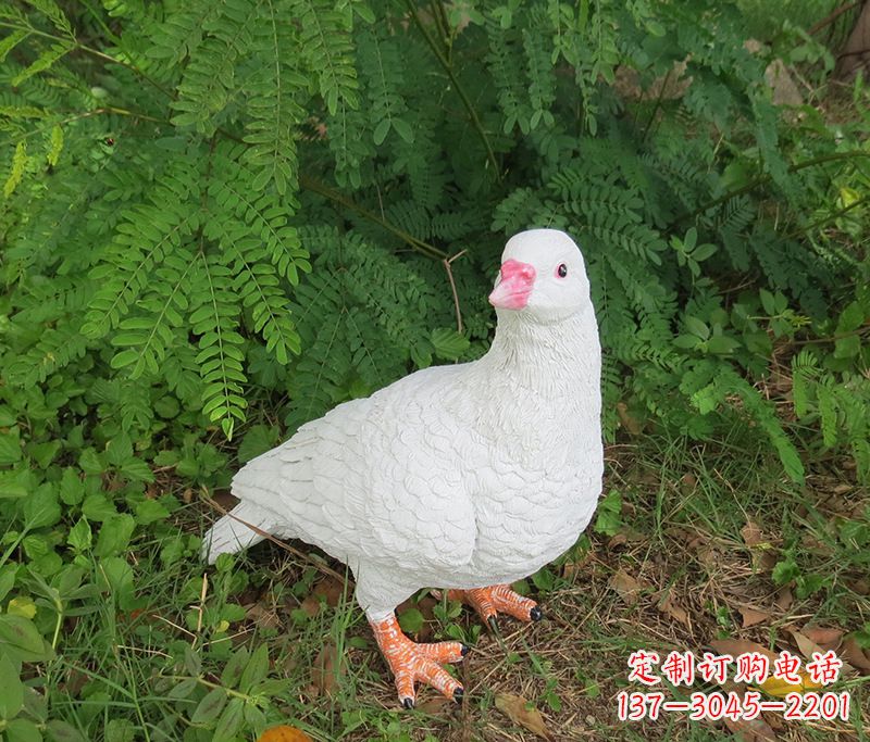 聊城潍坊青年路和平鸽灰姑娘雕塑