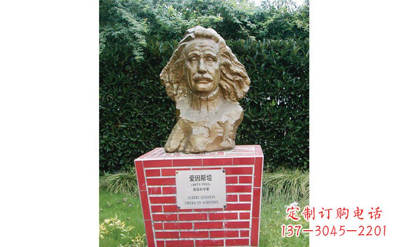 聊城西方名人爱因斯坦头像铜雕