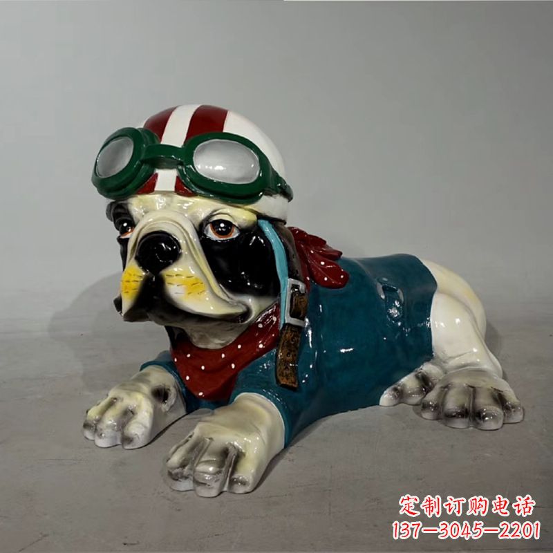 聊城宇航员斗牛犬